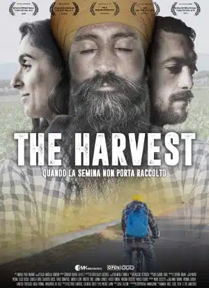 The harvest